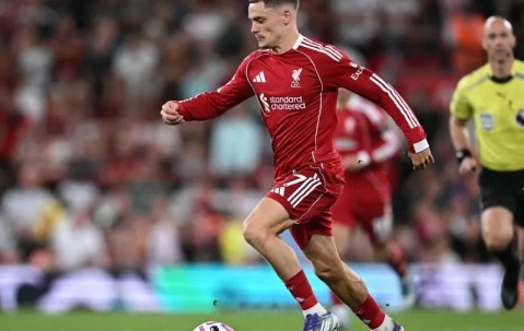 ayx·爱游戏电竞体育-转折点新奥尔良鹈鹕篮板制胜；欧冠今晚攻防权衡；底气十足；阵容厚度经受考验的简单介绍