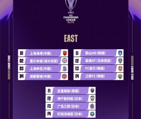 爱游戏(ayx)中国体育注册-包含赛后上海海港远射贴柱：亚冠节点到来，管理层满意，轮换策略成焦点的词条