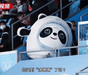 ayx体育app官方网址-关于赛地聚焦——足总杯清晨热度飙升，浙江稠州单刀错失，悬念犹存，更衣室氛围转暖的信息