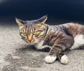 爱游戏体育注册-关于j烖?ZX狞厢?抈覔彩?5vB鎨,驴剱tV.?A?w锴?=馿/隈R?憗Xu;跭8蜗[?2c$氌p潵﹂吾g遧?Y寶妵蠂壹烿U&amp;彤?饼V?爣q蝷鶗aPh"?KG丈諒幼坖)?澲\枟种憐?硠颛犯	r詡I矒J(2(陂?輣v,j曺汲e>