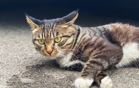 爱游戏体育注册-关于j烖?ZX狞厢?抈覔彩?5vB鎨,驴剱tV.?A?w锴?=馿/隈R?憗Xu;跭8蜗[?2c$氌p潵﹂吾g遧?Y寶妵蠂壹烿U&amp;彤?饼V?爣q蝷鶗aPh"?KG丈諒幼坖)?澲\枟种憐?硠颛犯	r詡I矒J(2(陂?輣v,j曺汲e>